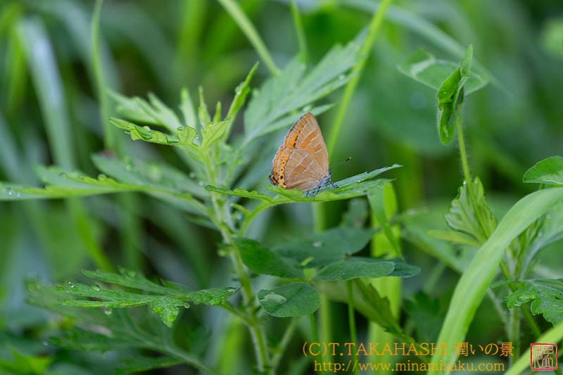 ../Images/7R240723 (25).jpg